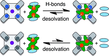 Graphical abstract: Steric desolvation enhances the effective molarities of intramolecular H-bonding interactions