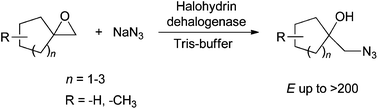 Graphical abstract: Catalytic activity of halohydrin dehalogenases towards spiroepoxides