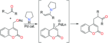 Graphical abstract: Palladium-catalyzed, pyrrolidine-mediated arylmethylation of ketones and aldehydes with coumarinyl(methyl) acetates