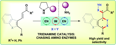 Graphical abstract: Asymmetric trienamine catalysis: new opportunities in amine catalysis