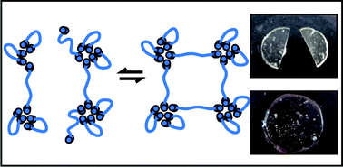 Graphical abstract: Dynamic supramolecular poly(isobutylene)s for self-healing materials