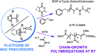 Graphical abstract: Azolium hydrogen carbonates and azolium carboxylates as organic pre-catalysts for N-heterocyclic carbene-catalysed group transfer and ring-opening polymerisations