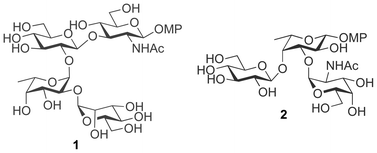 Graphical abstract: Concise synthesis of a tetra- and a trisaccharide related to the repeating unit of the O-antigen from Providencia rustigianii O34 in the form of their p-methoxyphenyl glycosides