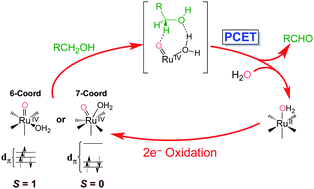 Graphical abstract: Mechanistic insight into catalytic oxidations of organic compounds by ruthenium(iv)-oxo complexes with pyridylamine ligands
