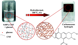Graphical abstract: Carbonaceous hydrogels based on hydrothermal carbonization of glucose with chitin nanofibers