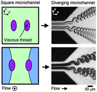 Graphical abstract: Interacting viscous instabilities in microfluidic systems