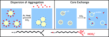 Graphical abstract: CO2 responsive reversible aggregation of nanoparticles and formation of nanocapsules with an aqueous core