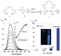 Graphical abstract: Turn-on selective vitamin B6 derivative fluorescent probe for histidine detection in biological samples