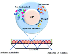 Graphical abstract: ATR-FTIR spectroscopy as a tool to probe surface adsorption on nanoparticles at the liquid–solid interface in environmentally and biologically relevant media