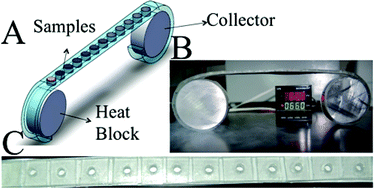 Graphical abstract: A simple cassette as point-of-care diagnostic device for naked-eye colorimetric bacteria detection
