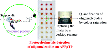 Graphical abstract: Image-based detection of oligonucleotides – a low cost alternative to spectrophotometric or fluorometric methods