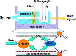 Graphical abstract: A novel nanomachined flow channel glucose sensor based on an alumina membrane