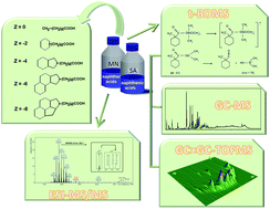 Graphical abstract: Characterization of naphthenic acids using mass spectroscopy and chromatographic techniques: study of technical mixtures