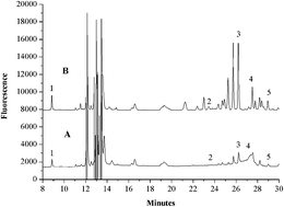 Graphical abstract: Ultrasound-assisted dispersive liquid–liquid microextraction combined with high performance liquid chromatography for sensitive determination of five biogenic amines in fermented fish samples