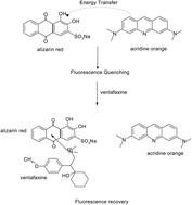 Graphical abstract: A fluorescence method for the determination of venlafaxine hydrochloride