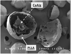 Graphical abstract: One-step fabrication of core–shell structured alginate–PLGA/PLLA microparticles as a novel drug delivery system for water soluble drugs