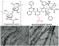 Graphical abstract: A polymer additive boosts the anti-cancer efficacy of supramolecular nanofibers of taxol