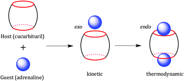 Graphical abstract: Kinetic trapping of the host–guest association intermediate and its transformation into a thermodynamic inclusion complex