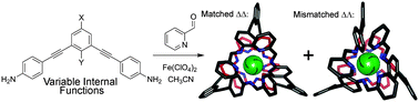 Graphical abstract: Achiral endohedral functionality provides stereochemical control in Fe(ii)-based self-assemblies