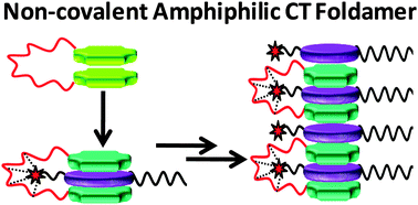 Graphical abstract: Mixed donor–acceptor charge-transfer stacks formed via hierarchical self-assembly of a non-covalent amphiphilic foldamer