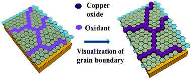 Graphical abstract: Fast benchtop visualization of graphene grain boundaries using adhesive properties of defects