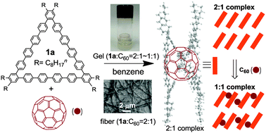 Graphical abstract: Synthesis of pentadecaphenylenes, their inclusion properties, and nanostructure formation with C60