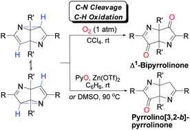 Graphical abstract: Oxidation of C–H bonds to C [[double bond, length as m-dash]] O bonds by O2 only or N-oxides and DMSO: synthesis of Δ1-bipyrrolinones and pyrrolino[3,2-b]pyrrolinones from 2,6-diazasemibullvalenes