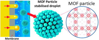Graphical abstract: Exceptional function of nanoporous metal organic framework particles in emulsion stabilisation
