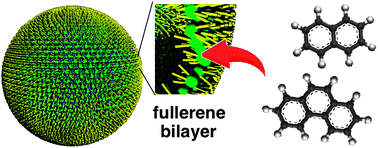 Graphical abstract: Binding of aromatic molecules in the fullerene-rich interior of a fullerene bilayer vesicle in water