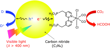 Graphical abstract: A polymeric-semiconductor–metal-complex hybrid photocatalyst for visible-light CO2 reduction