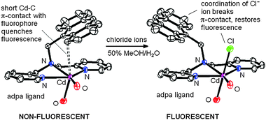 Graphical abstract: Mechanism of chelation enhanced fluorescence in complexes of cadmium(ii), and a possible new type of anion sensor