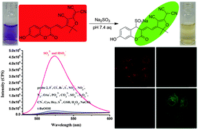 Graphical abstract: A water-soluble near-infrared probe for colorimetric and ratiometric sensing of SO2 derivatives in living cells