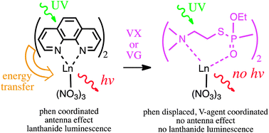 Graphical abstract: VX and VG chemical warfare agents bidentate complexation with lanthanide ions