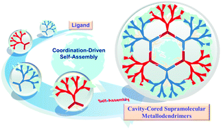 Graphical abstract: Recent progress in the construction of cavity-cored supramolecular metallodendrimers via coordination-driven self-assembly