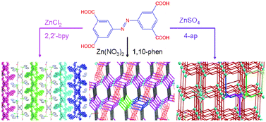 Graphical abstract: Synthesis, structure and adsorption of coordination polymers constructed from 3,3′,5,5′-azobenzenetetracarboxylic acid and Zn ions