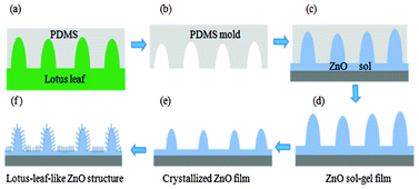 Graphical abstract: Biomimetic fabrication and tunable wetting properties of three-dimensional hierarchical ZnO structures by combining soft lithography templated with lotus leaf and hydrothermal treatments