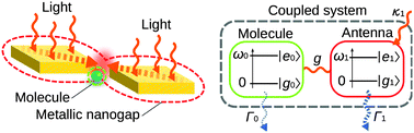 Graphical abstract: Model of the photoexcitation processes of a two-level molecule coherently coupled to an optical antenna