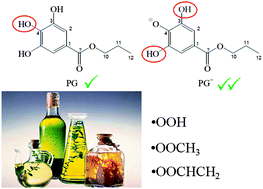 Graphical abstract: Antioxidant activity of propyl gallate in aqueous and lipid media: a theoretical study