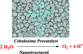 Graphical abstract: Facile deposition of nanostructured cobalt oxide catalysts from molecular cobaloximes for efficient water oxidation