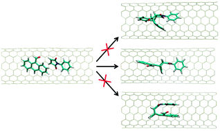Graphical abstract: The confined space inside carbon nanotubes can dictate the stereo- and regioselectivity of Diels–Alder reactions