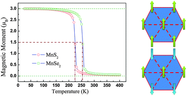 Graphical abstract: Ferromagnetism in MnX2 (X = S, Se) monolayers