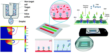 Graphical abstract: Manipulating biological agents and cells in micro-scale volumes for applications in medicine
