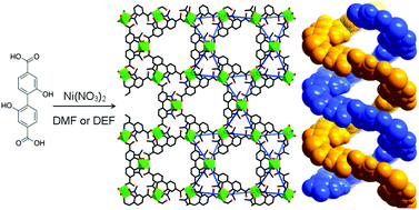 Graphical abstract: Solvent-modified dynamic porosity in chiral 3D kagome frameworks