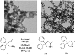 Graphical abstract: Au-based bimetallic nanoparticles for the intramolecular aminoalkene hydroamination