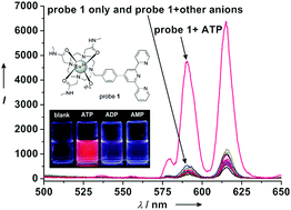Graphical abstract: An ATP-selective, lanthanide complex luminescent probe