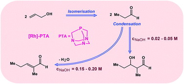 Graphical abstract: Isomerisation and controlled condensation in an aqueous medium of allyl alcohol catalysed by new water-soluble rhodium complexes with 1,3,5-triaza-7-phosphaadamantane (PTA)