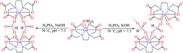 Graphical abstract: Substitution of gadolinium ethylenediaminetetraacetate with phosphites: towards gadolinium deposit in nephrogenic systemic fibrosis