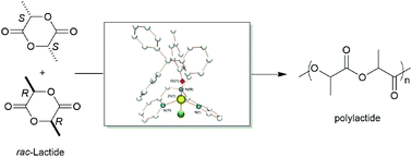 Graphical abstract: Zinc and cobalt complexes based on tripodal ligands: synthesis, structure and reactivity toward lactide