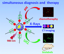 Graphical abstract: Design of multifunctional alkali ion doped CaF2 upconversion nanoparticles for simultaneous bioimaging and therapy