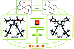 Graphical abstract: Homoleptic aminophenolates of Zn, Mg and Ca. Synthesis, structure, DFT studies and polymerization activity in ROP of lactides